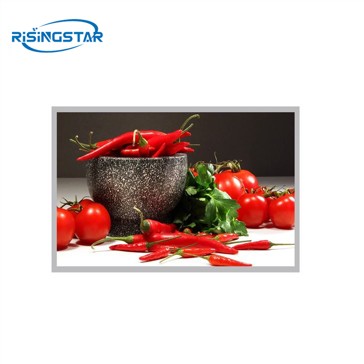 15inch SHARP LQ150X1RisingStar96 TFT LVDS Panel