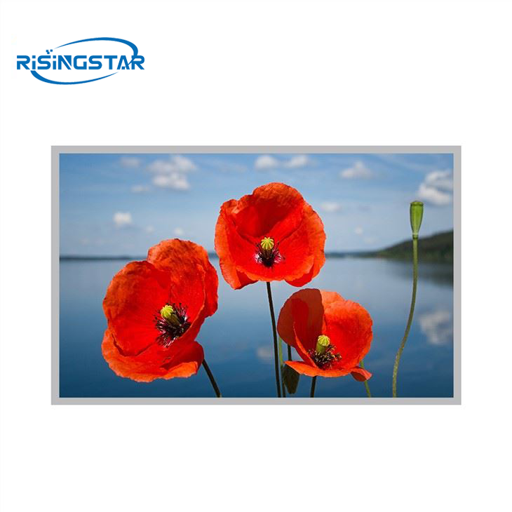 12.1"1000nit Outdoor Tft Lcd Screen Display Panel