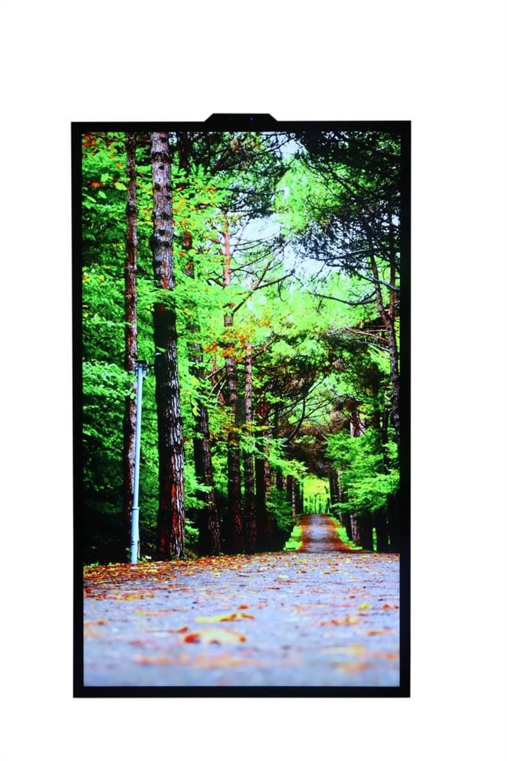 Hanging Window Facing LCD Signage